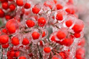 TX_Icestorm_4