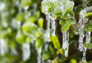 All Photos by James Langford; langfordphotography.com