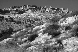 Bethlehem Hills - BW