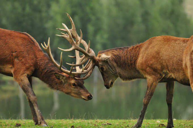 31416b83e2a3e106dd4c2aa2e6dadce8